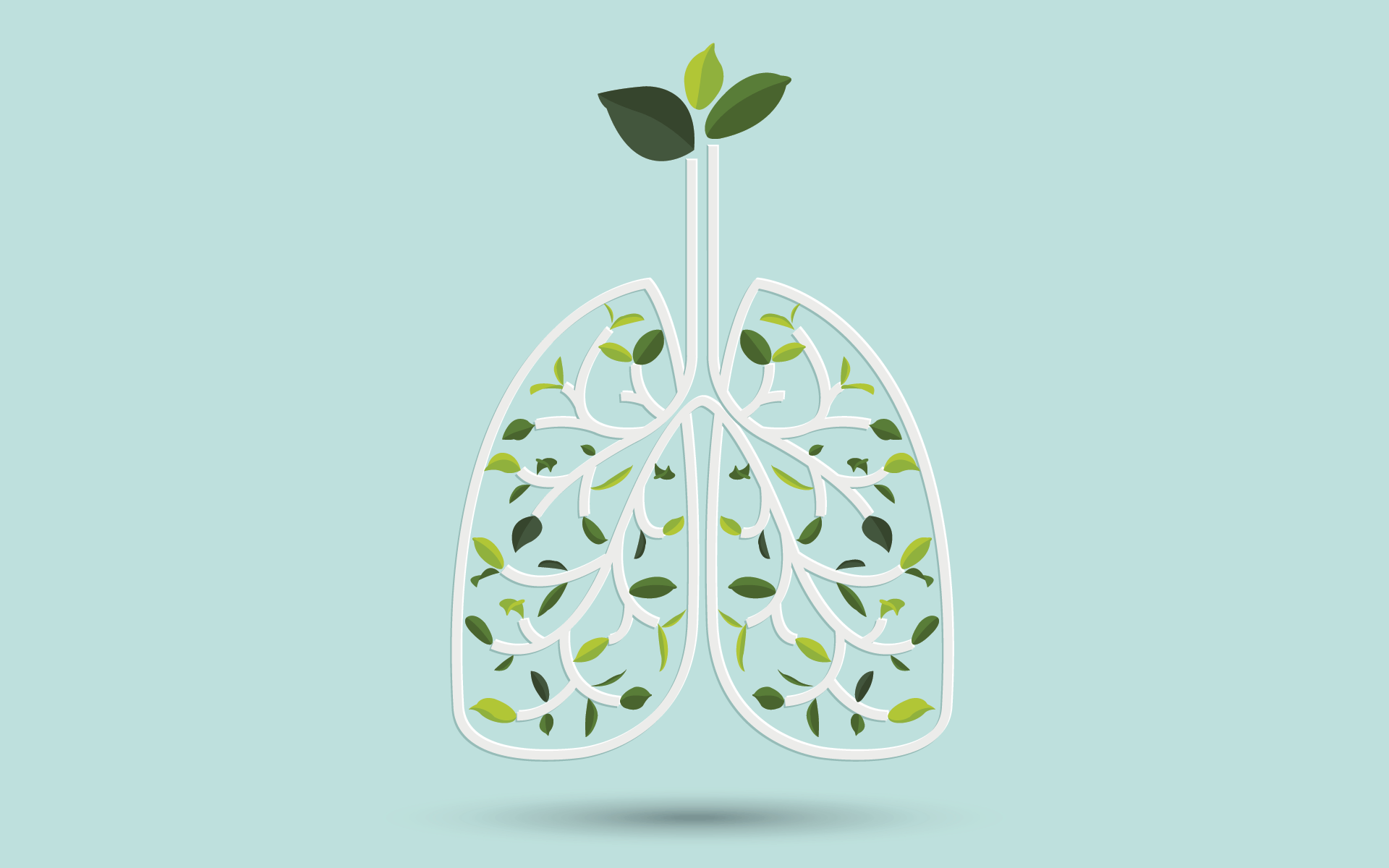 20-Minute Mindfulness Meditation for Beginners