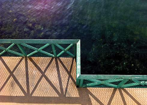 3 iPhone Photography Tips for Stunning Shots