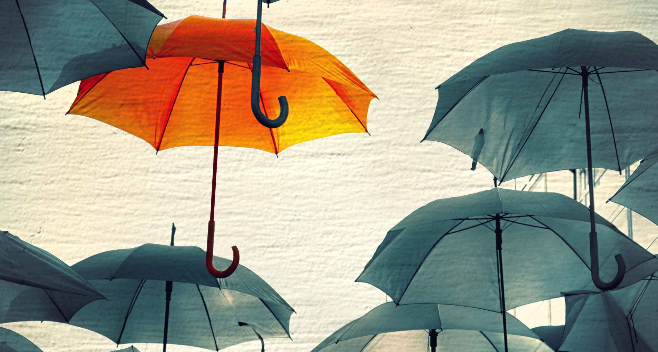 5 Science-Backed Habits to Rewire Your Brain for Happiness