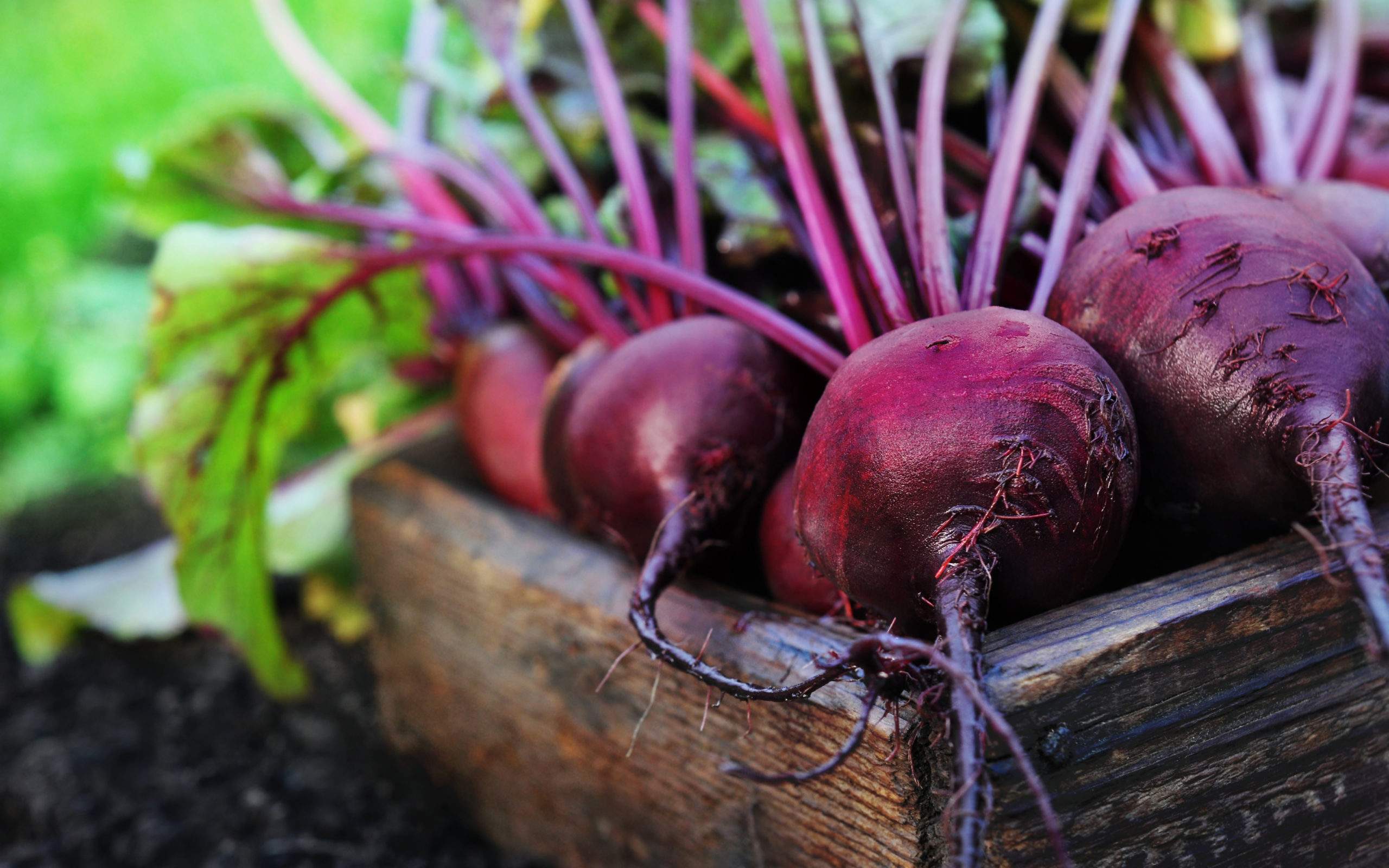 Beets: The Bold, Blood-Red Superfood