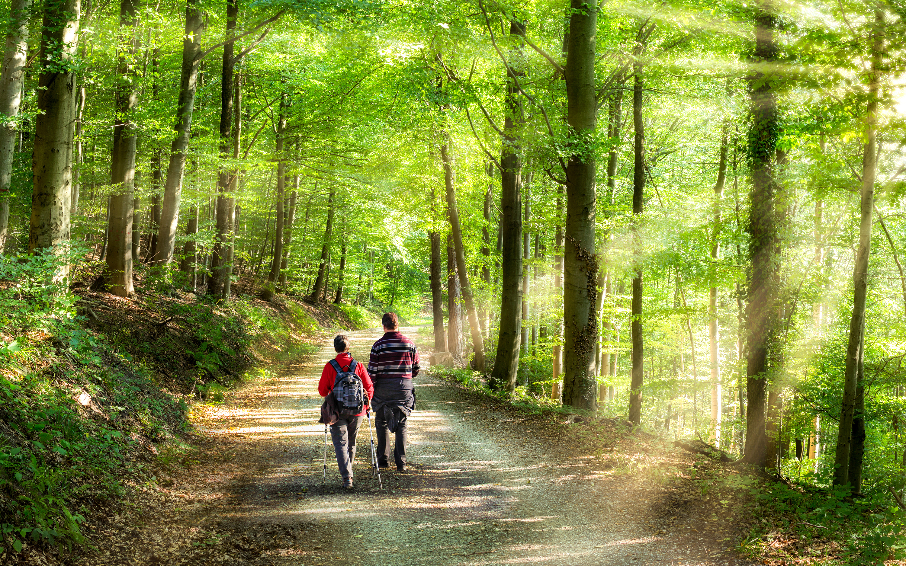 Biophilic Design: Science or Hype? Benefits & Controversy
