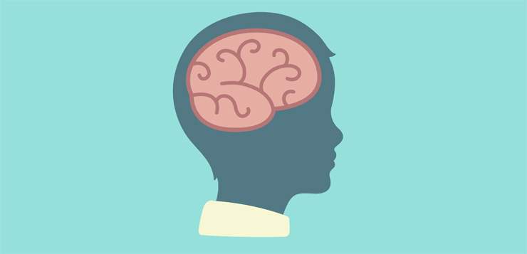 Brain Development & Theory of Mind in Children