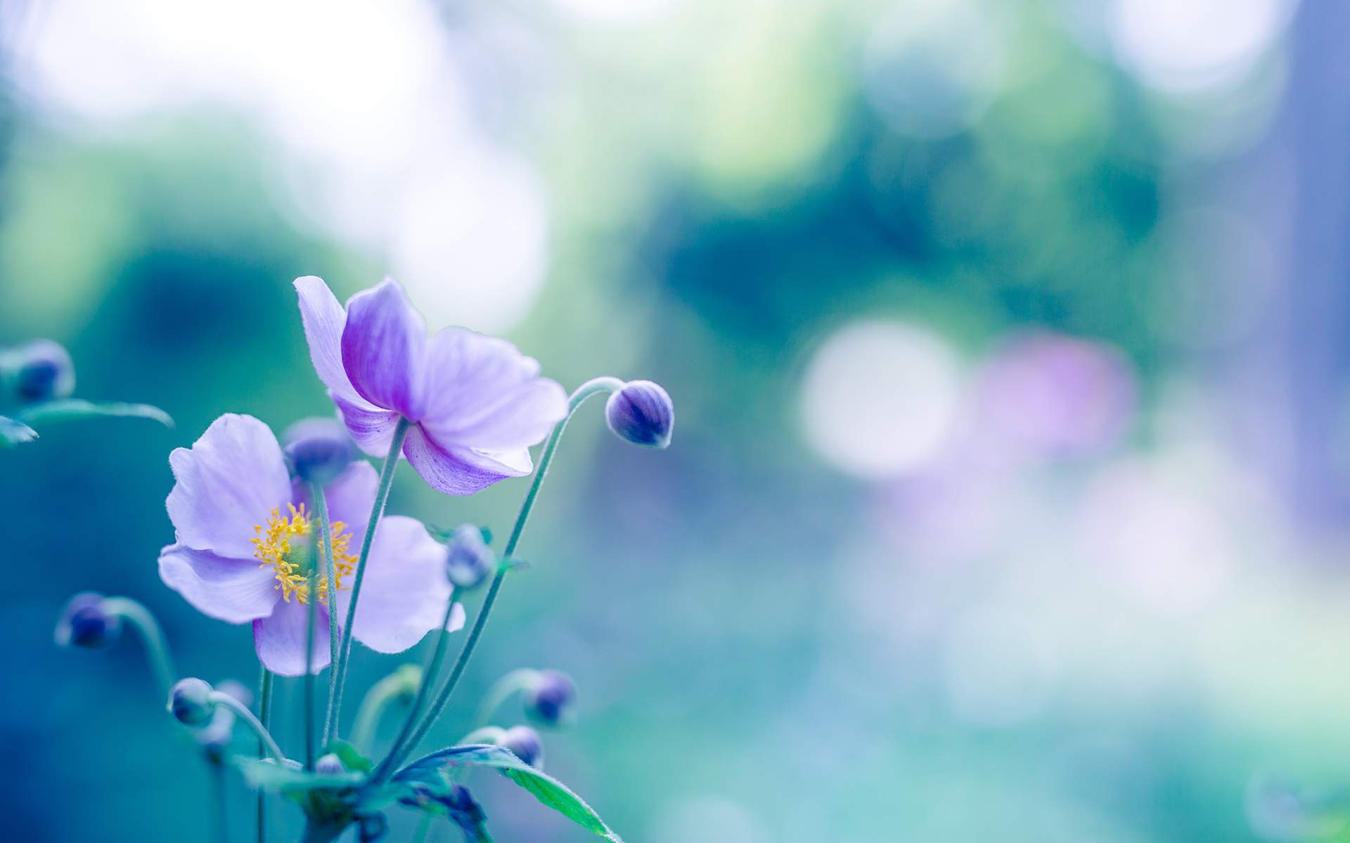 Burnout Recovery: Healing Through Systems & Mindfulness