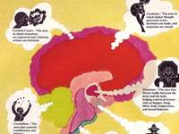 Can We Control Our Thoughts? Science of Mind Control