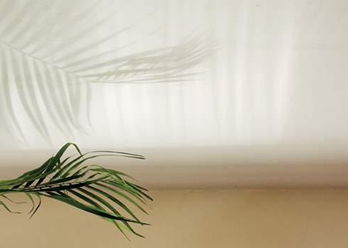 Contemplative Photography: Seeing the World with Fresh Eyes
