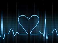 Evolution of Kindness: How Positive Emotions Aid Survival