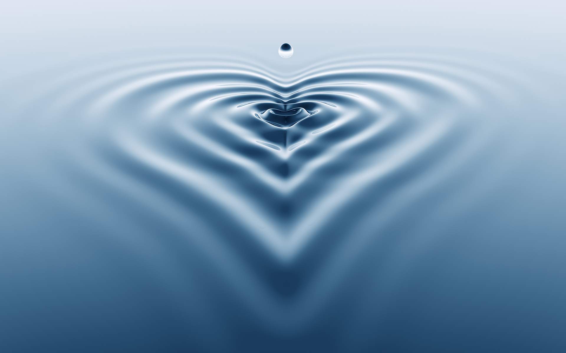 Fight, Flight, or Freeze: Understanding Stress Responses