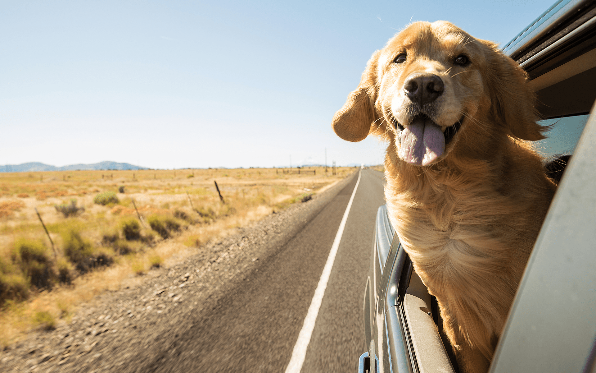 Finding Happiness: Simple Joys & Mindful Moments
