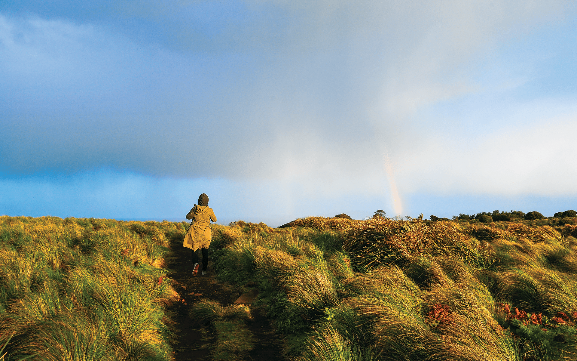 Finding Meaning After Loss: A Journey Through Grief