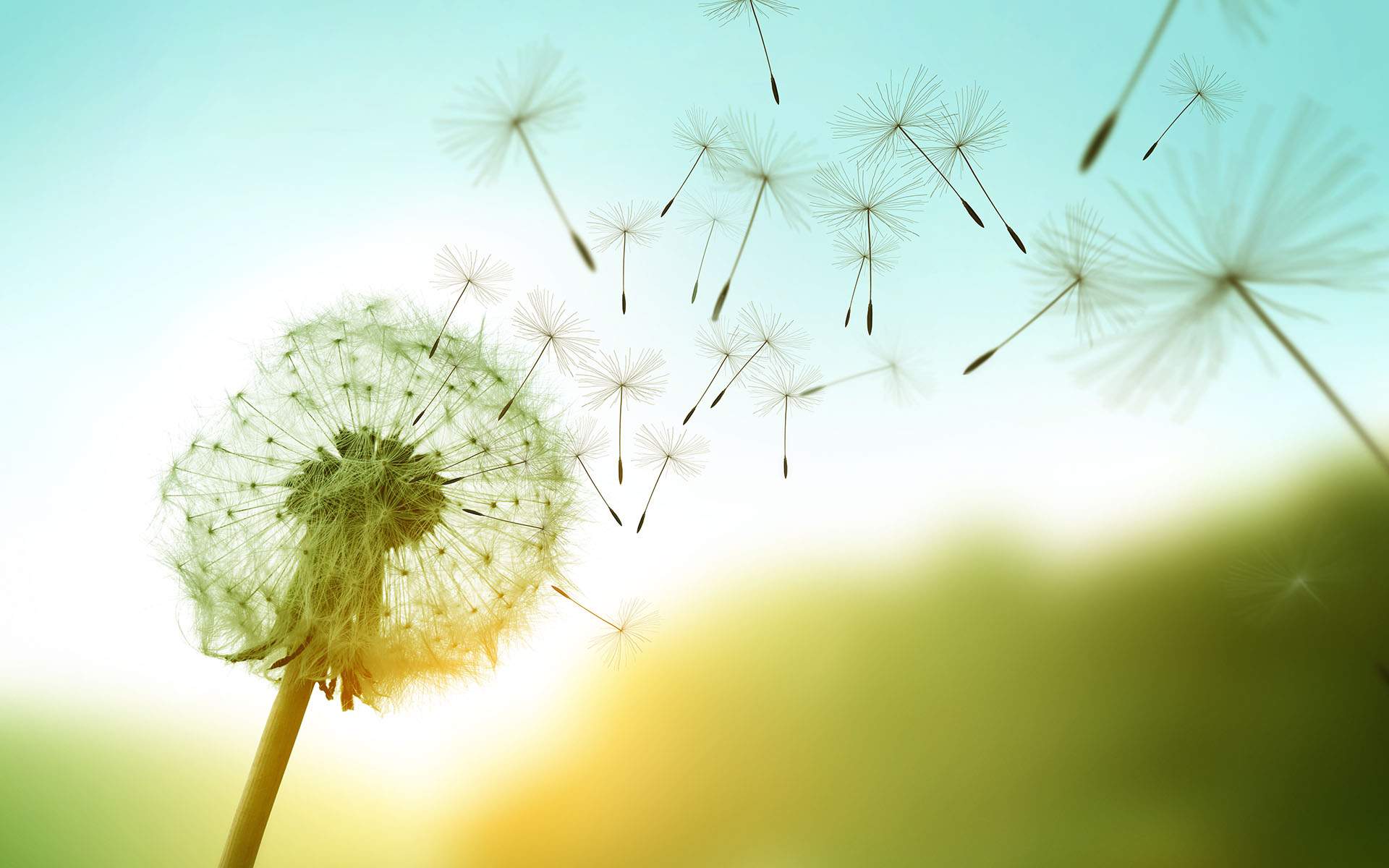 Finding Meaning in Life: Science-Backed Pathways