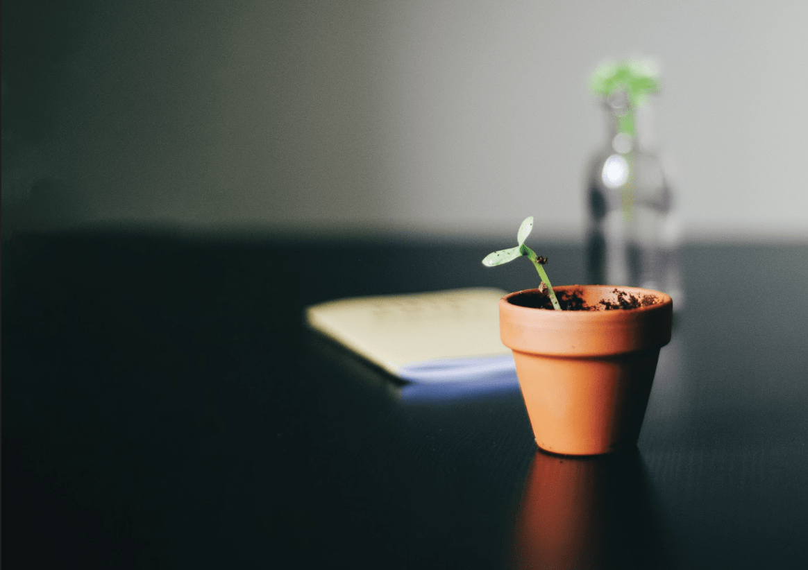 Gardening Benefits: Stress Relief & Community Growth
