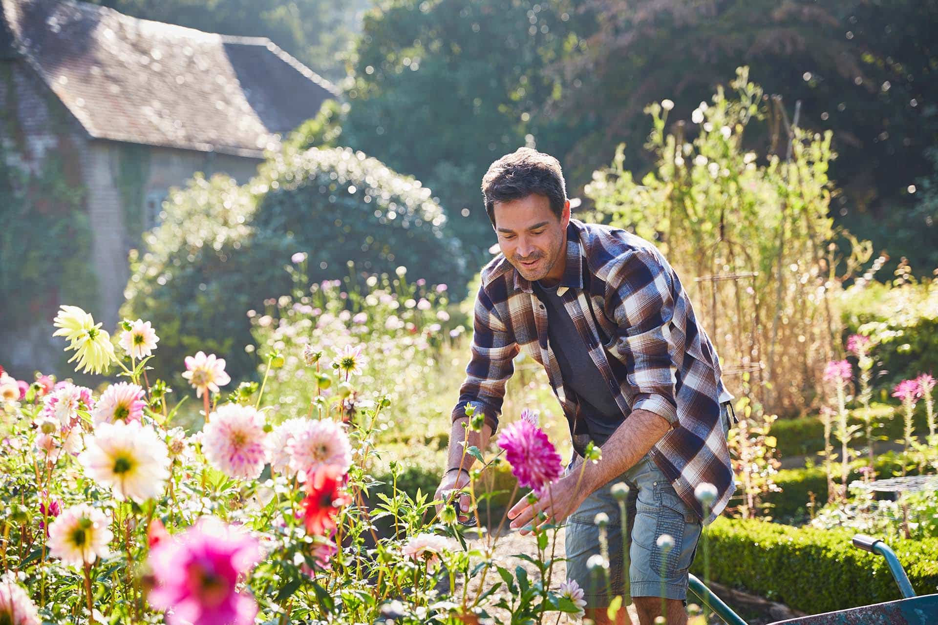 Gardening for Gut Health: Soil Microbes Explained