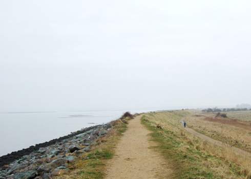 Group Nature Walks Boost Mental Health | Study