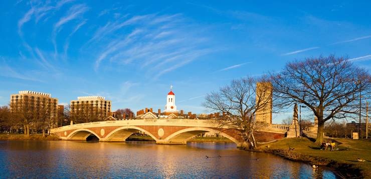 Harvard's Workplace Mindfulness Program Success