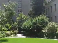 Healing Power of Hospital Gardens | Science-Backed Benefits