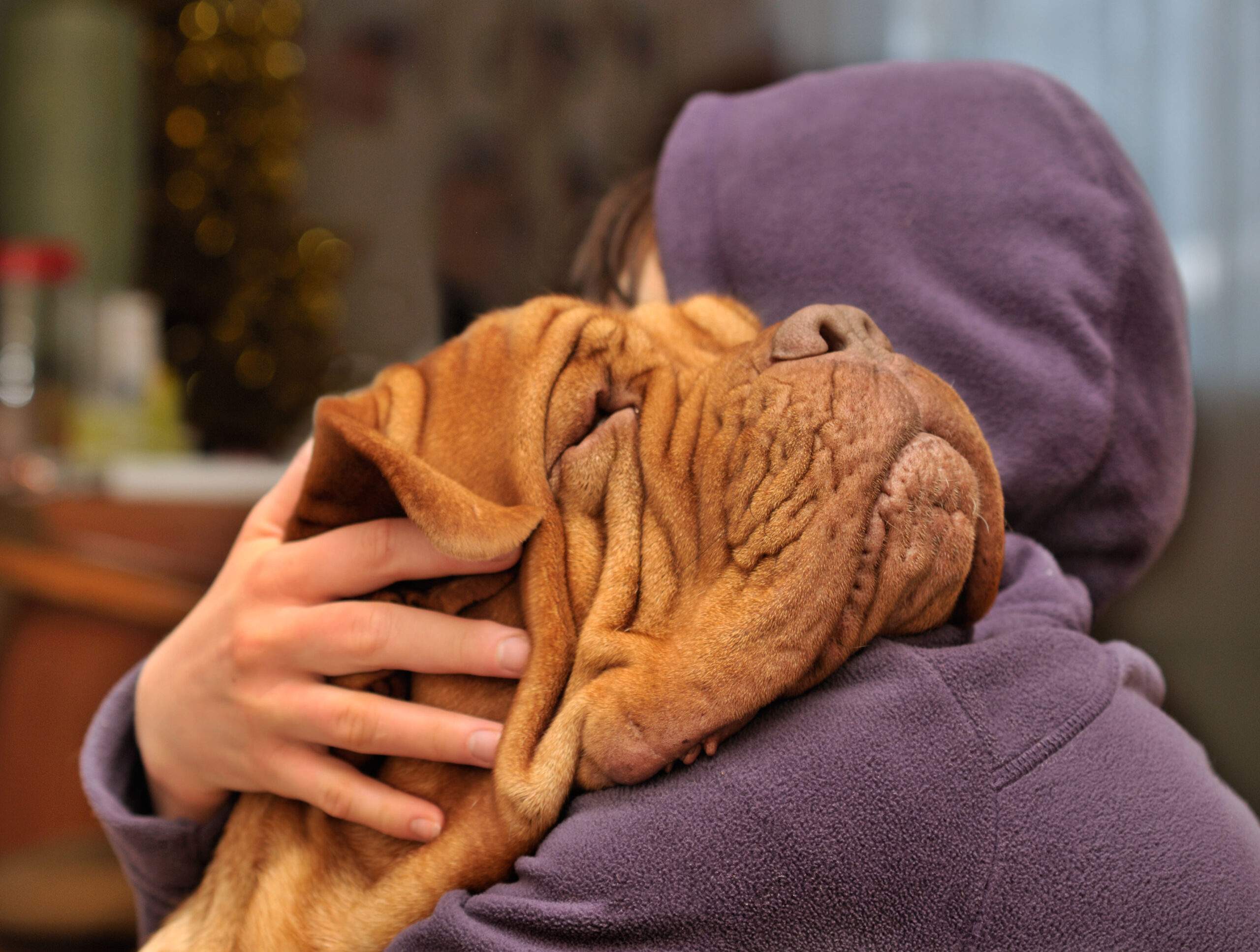 How Mindfulness Meditation Improves Relationships