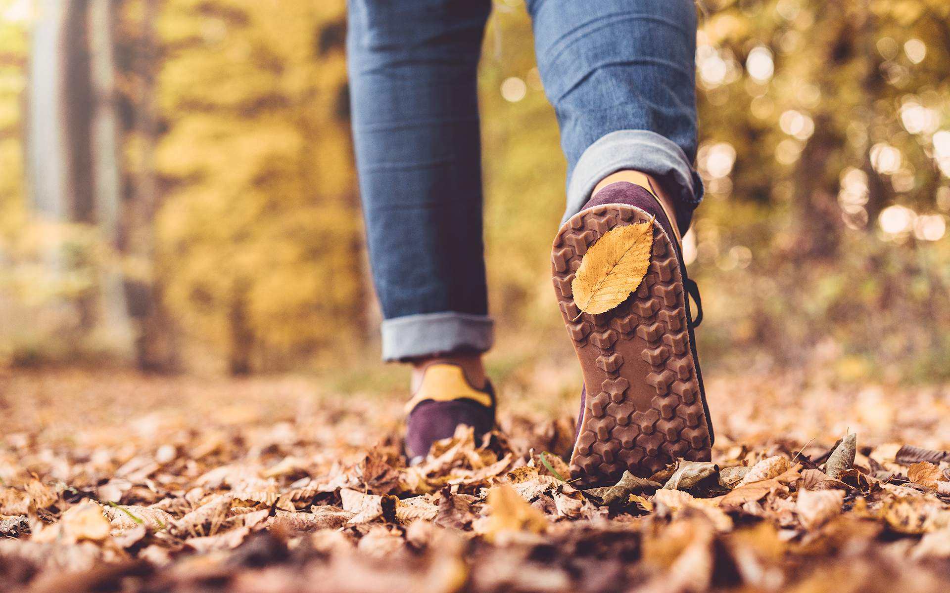 How Nature Walks Healed My Anxiety | Mindfulness Benefits