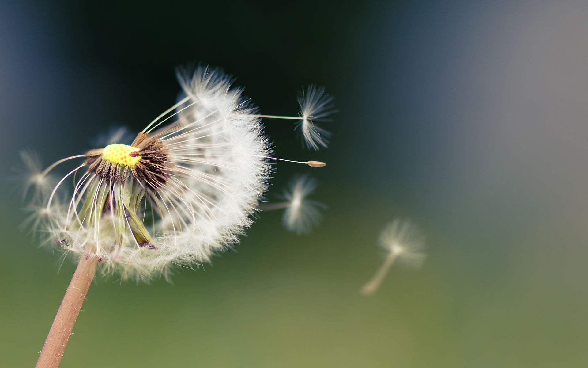 How to Accept Life Changes & Find Peace