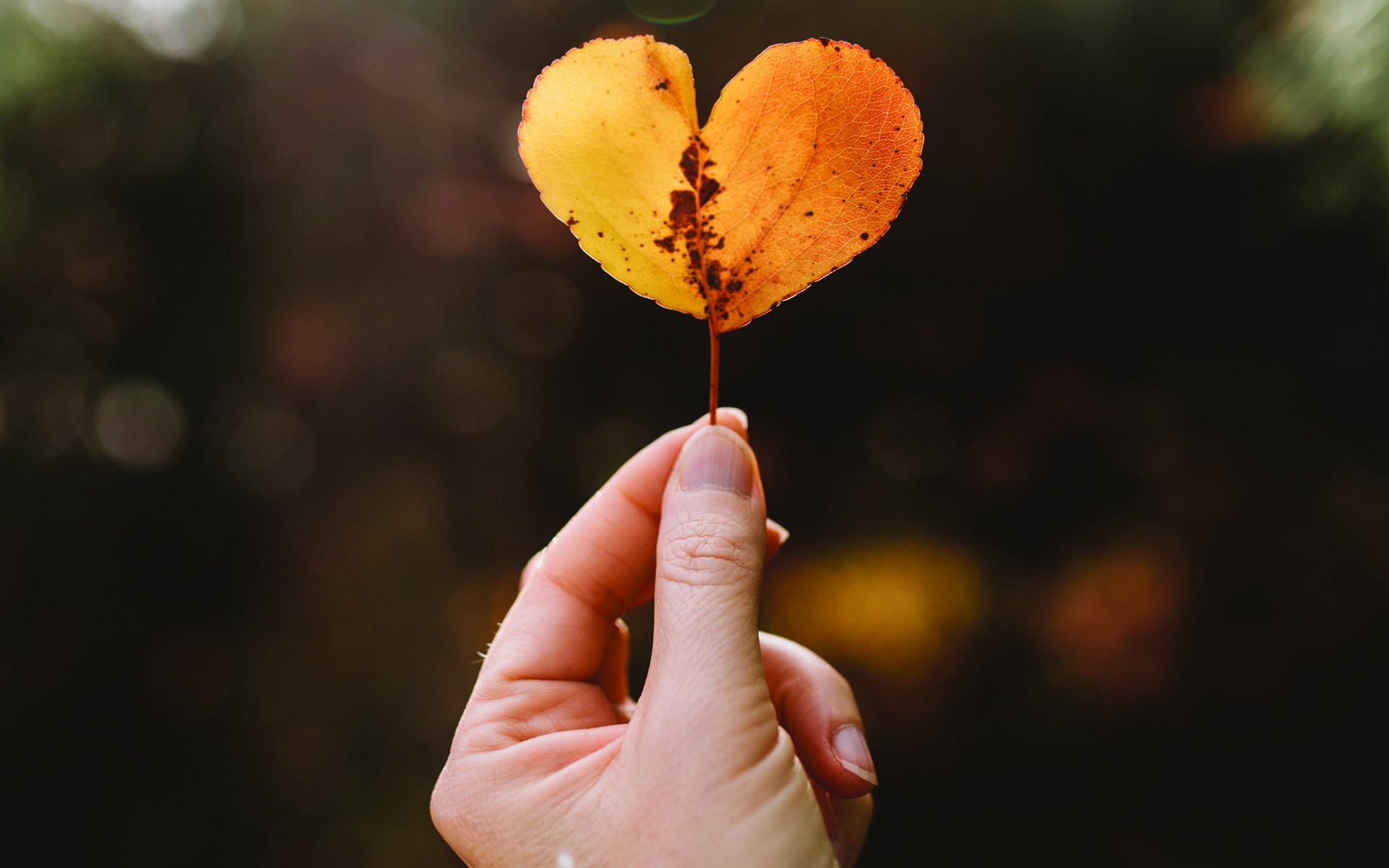 How to Cultivate True Gratitude in Daily Life