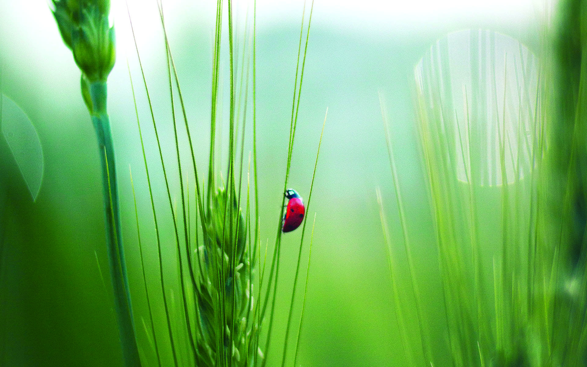 How to Find Joy in Daily Life: 5 Simple Practices