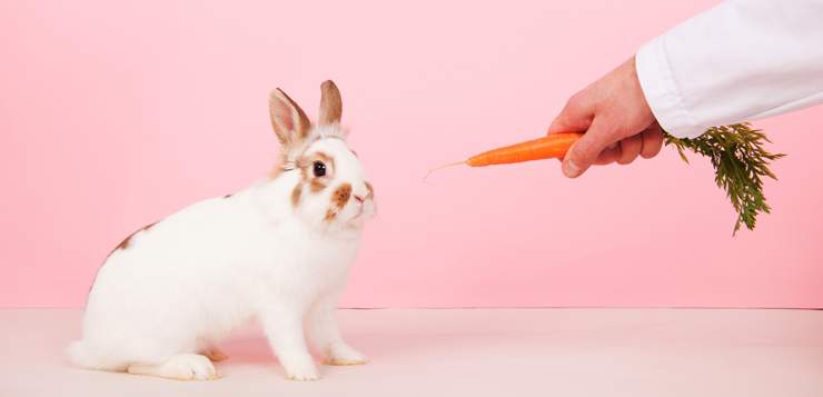 How to Stop Anxiety-Driven Emotional Eating