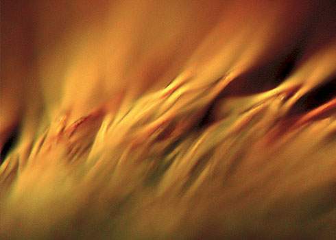 How to Stop Energy Leaks for Spiritual Awakening
