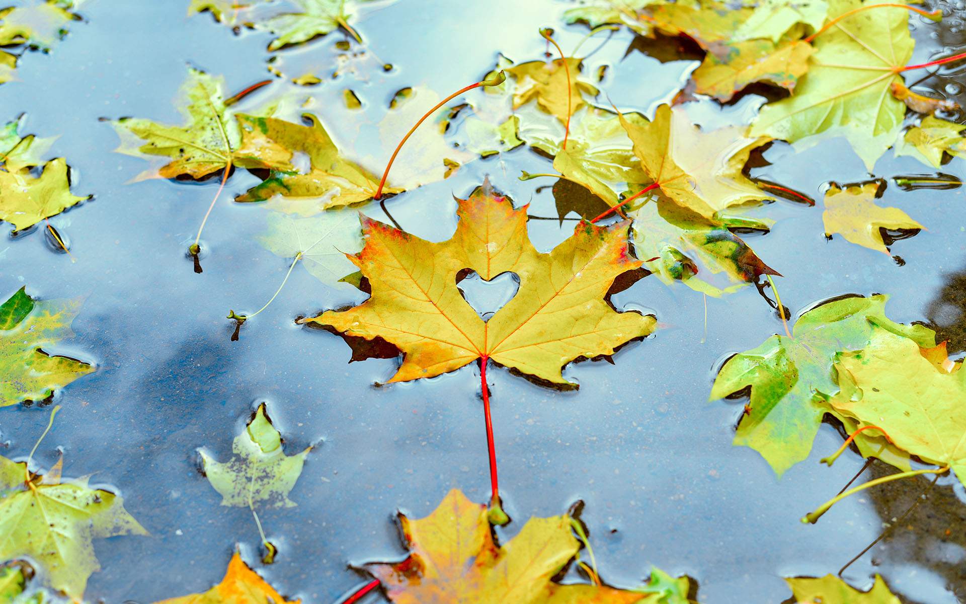 Loving-Kindness Meditation: 3 Beginner Practices