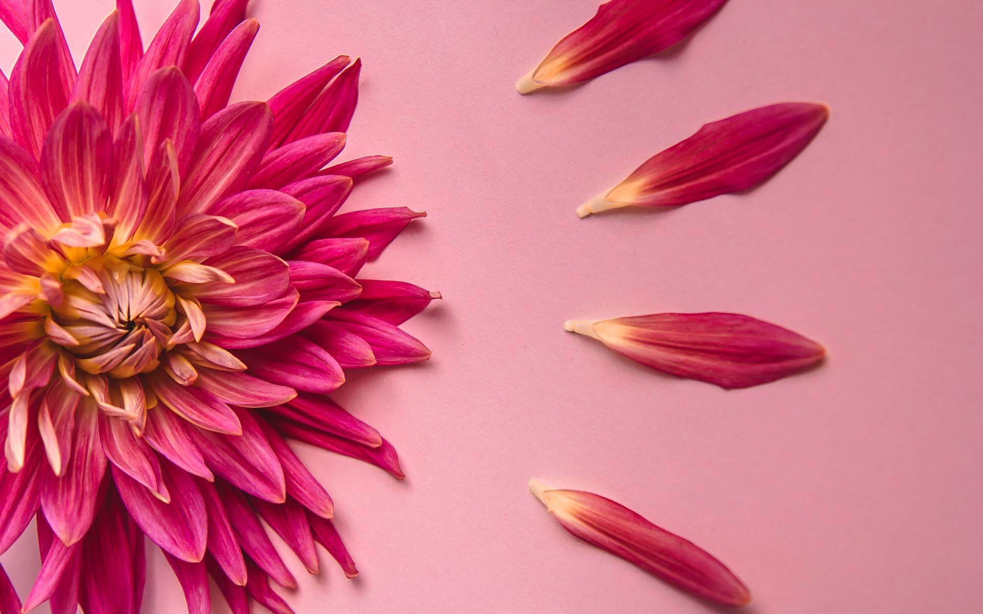 Loving-Kindness Meditation Guide for Connection