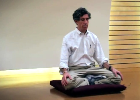 Meditation & Brain Science: Davidson's Research