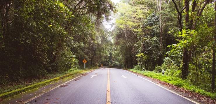 Mindful Driving: 3 Practices for Calm Commutes