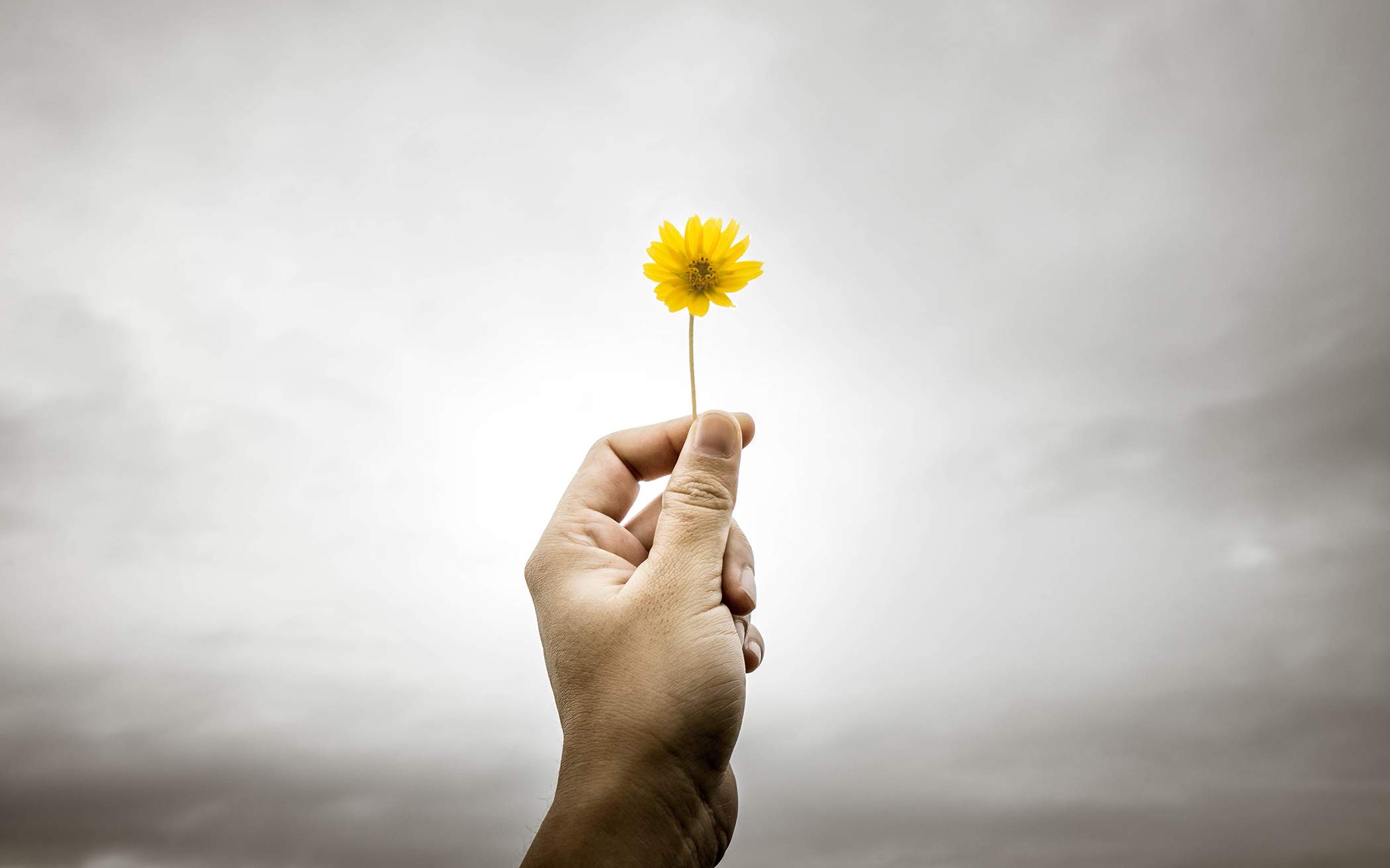 Mindful Leadership: Learning from Fear & Presence