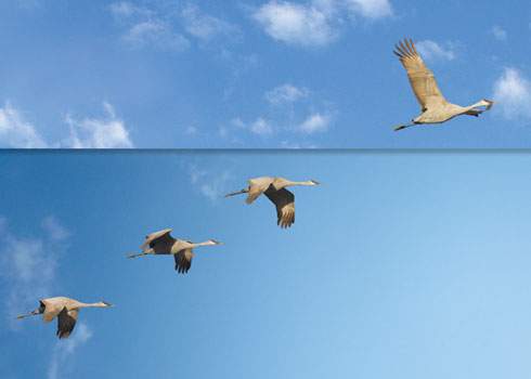 Mindful Leadership Training: Transform Your Leadership Style