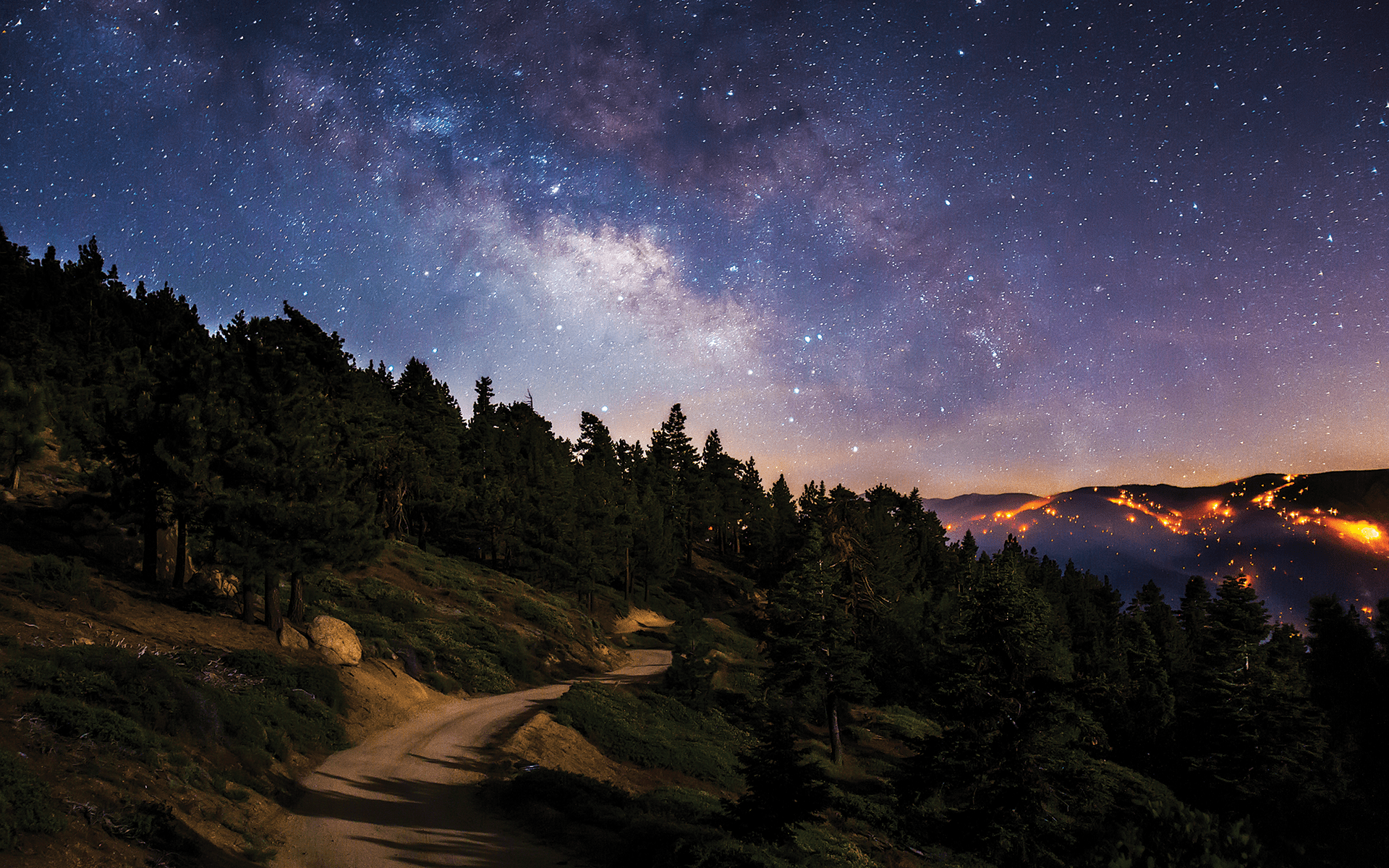 Mindful Nature Connection: Healing & Climate Awareness