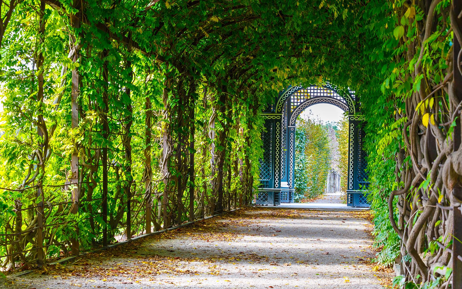 Mindful Nature Walk: Boost Awareness & Reduce Stress