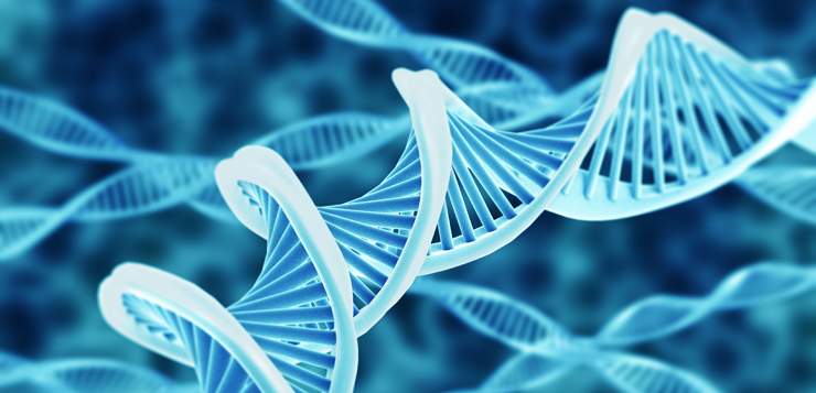 Mindfulness at Work: How It Changes Your Genes