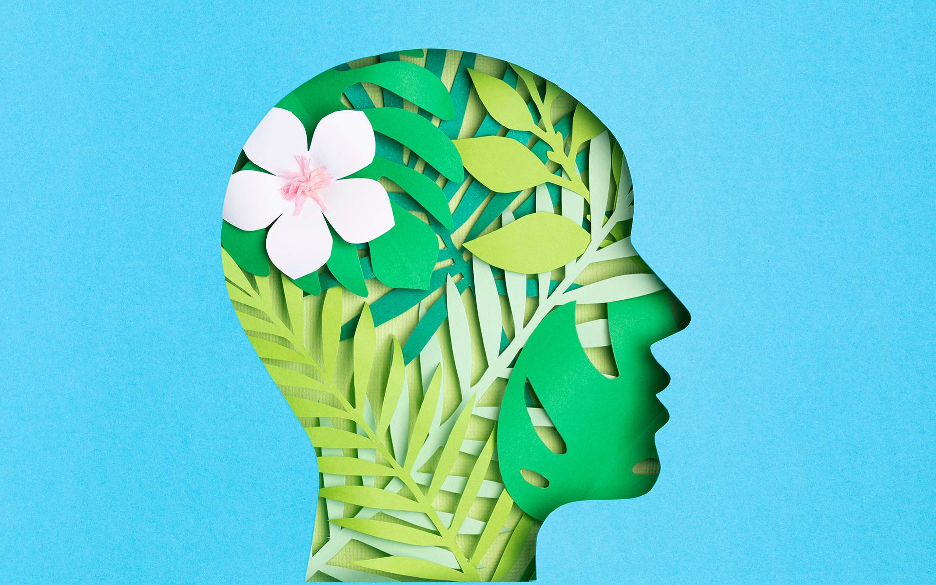 Mindfulness Benefits: Science-Backed Mental Health Improvements
