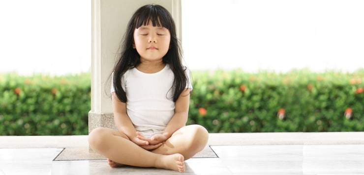 Mindfulness in Schools: Nurturing Roots for Student Success