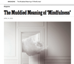Mindfulness Meaning & Benefits in Modern Life