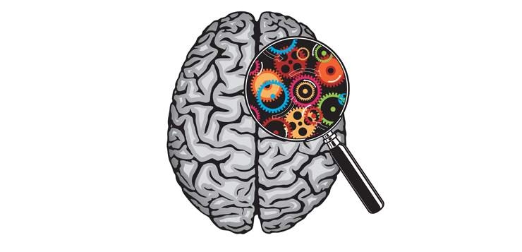 Mindfulness Meditation: Rewire Your Brain in 5 Steps