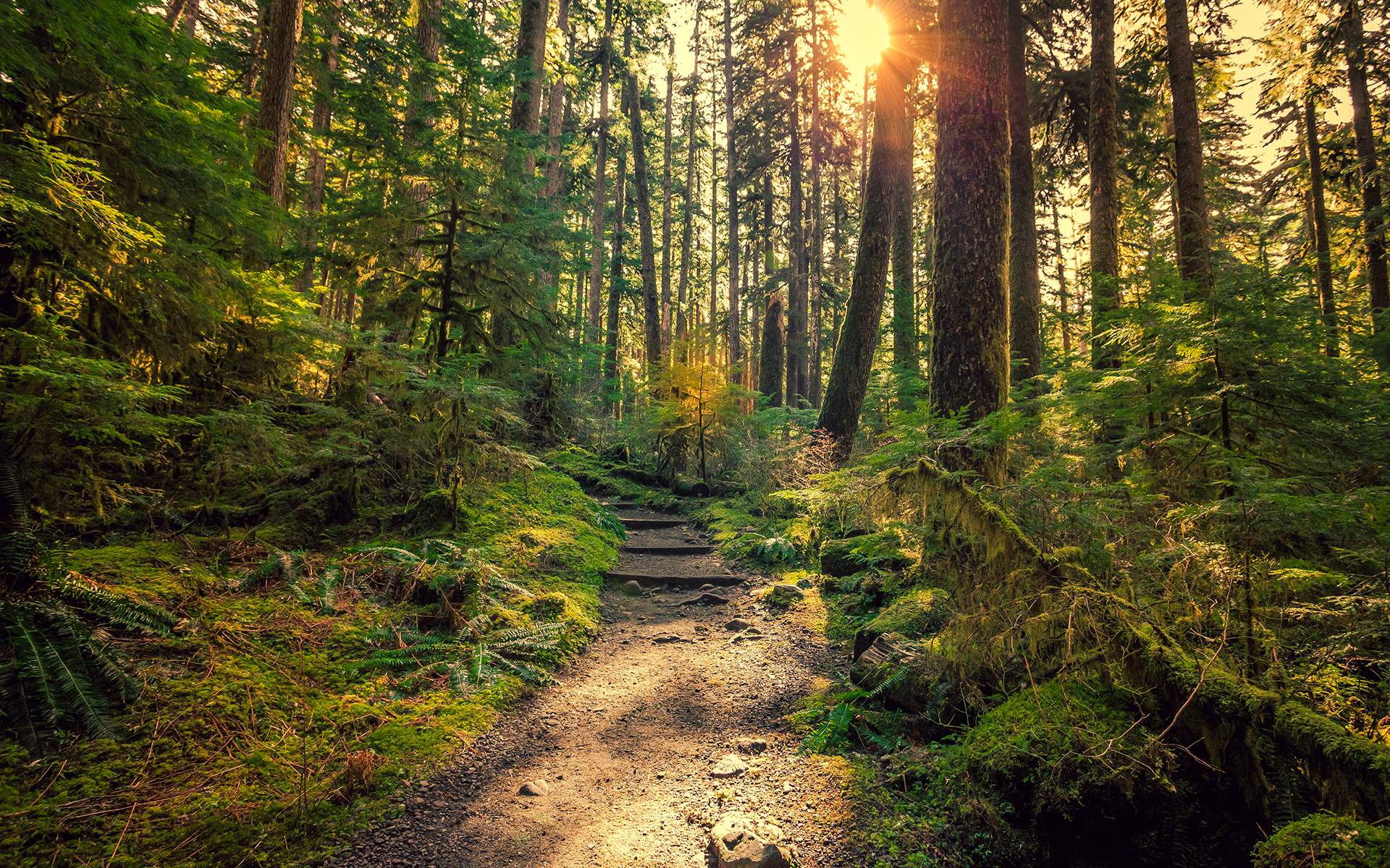 Mindfulness Practice: Benefits & How to Start