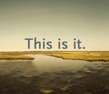 Mindfulness Practice: How 'This Is It' Transforms Life