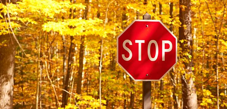 Mindfulness Practice to Reduce Stress & Gain Clarity