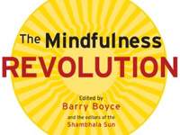Mindfulness Revolution Book Review & Insights