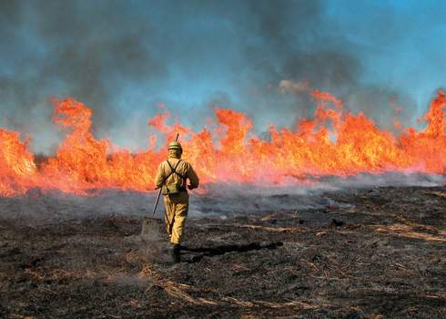Mindfulness Training for Firefighters: Boosting Situational Awareness