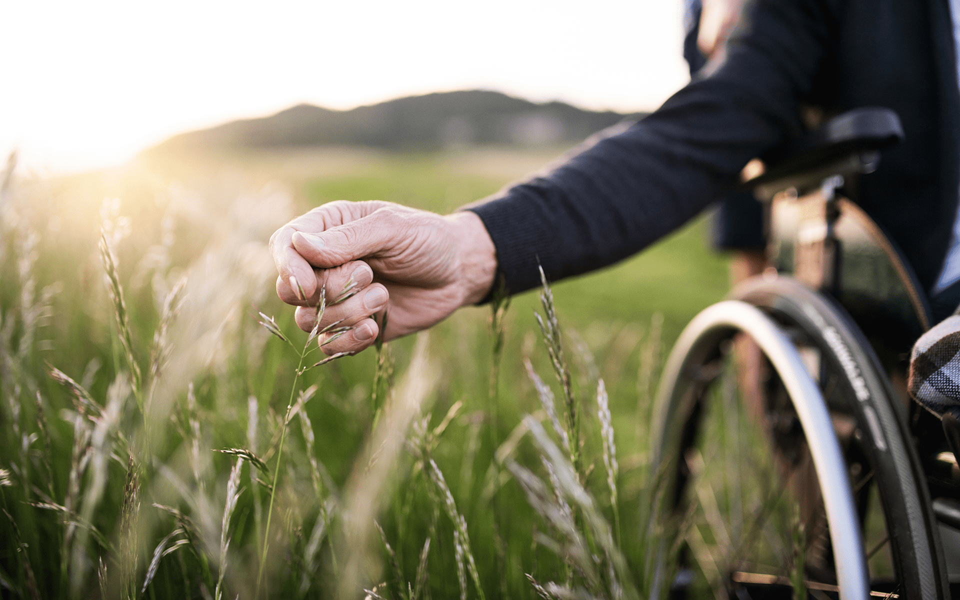 Nature Meditation: Cultivate Gratitude & Connection