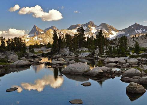 Nature Meditation: Mindfulness in the Wild