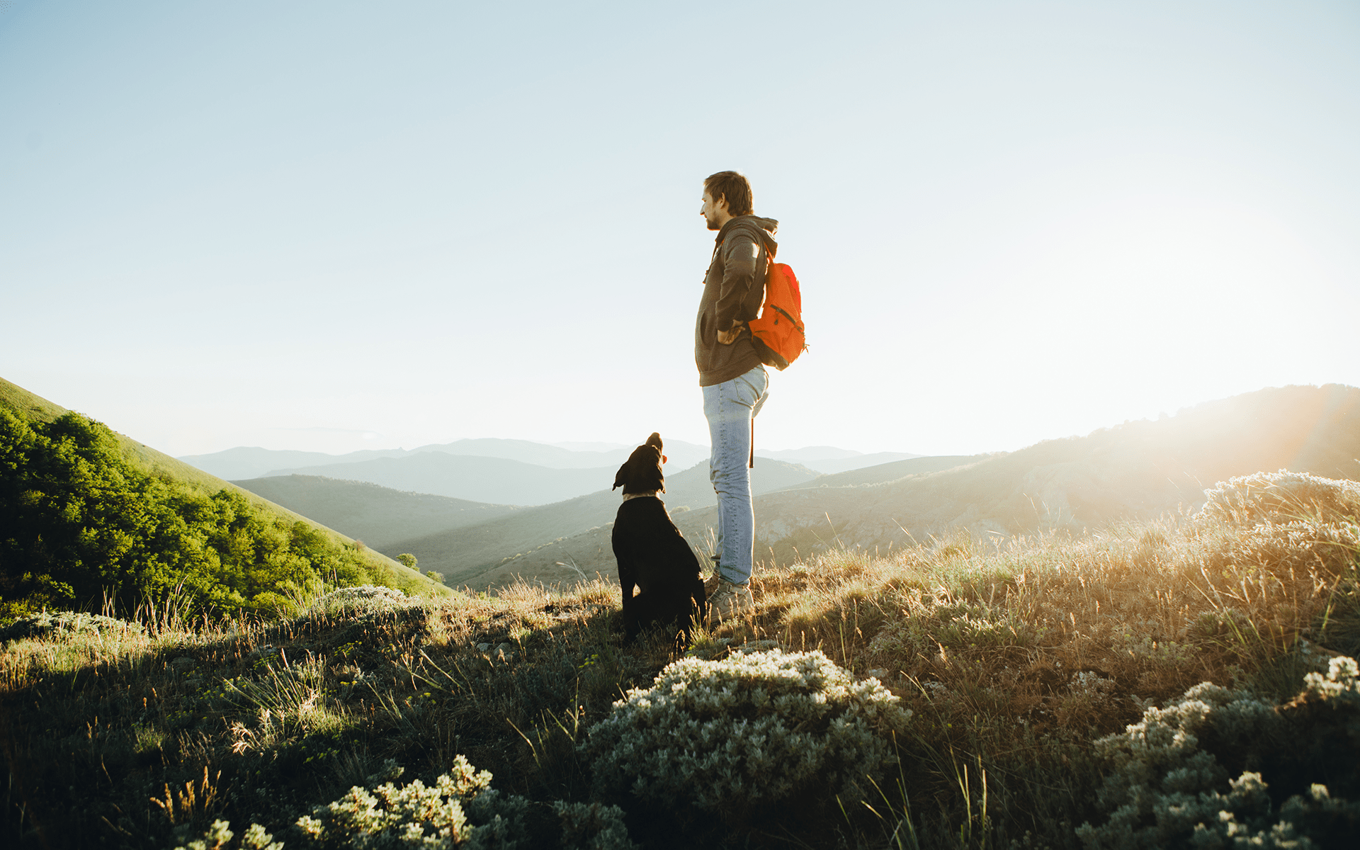 Nature's Health Benefits: Why You Need More Outdoor Time