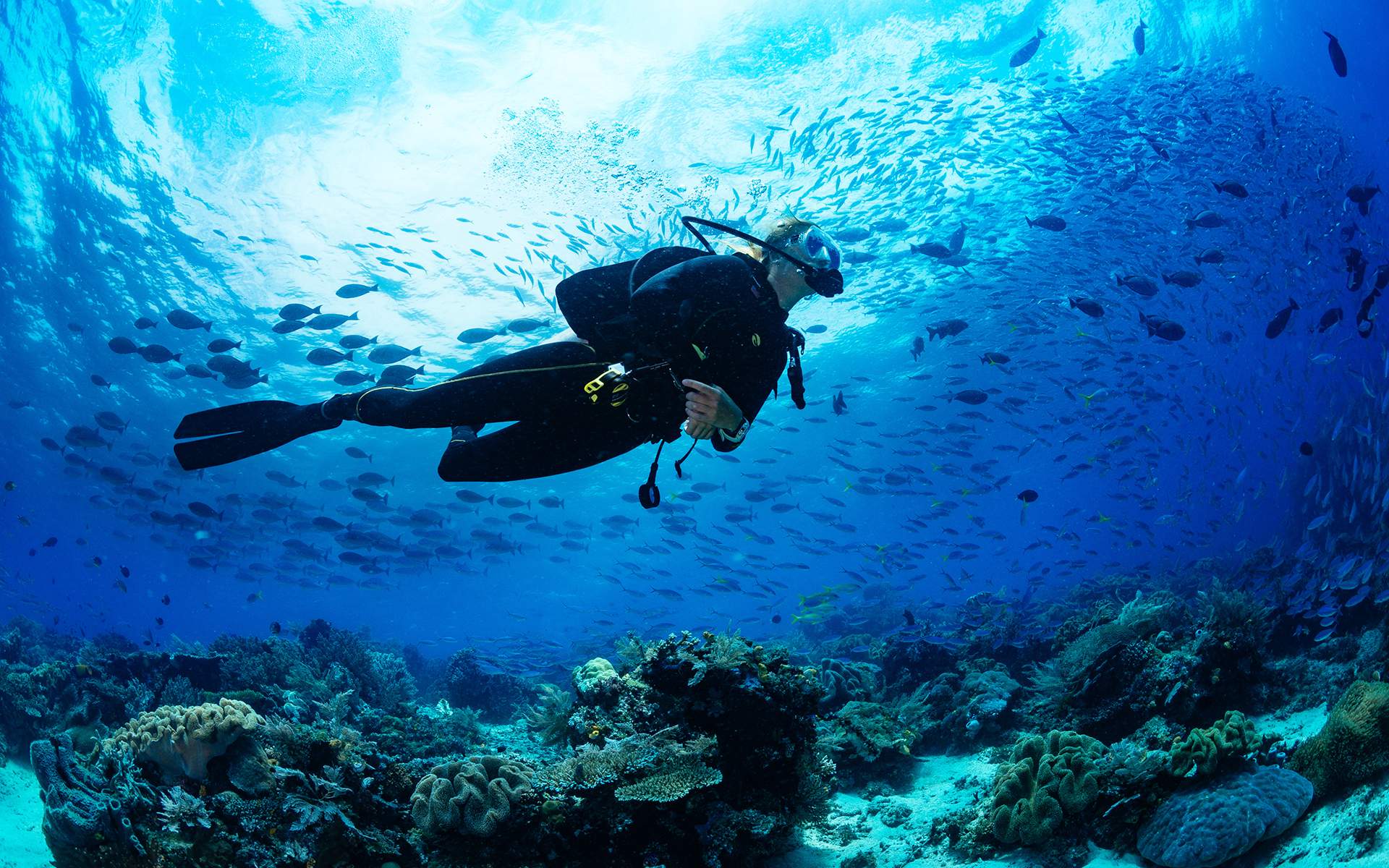 Overcoming Scuba Diving Fear: My Journey to Confidence