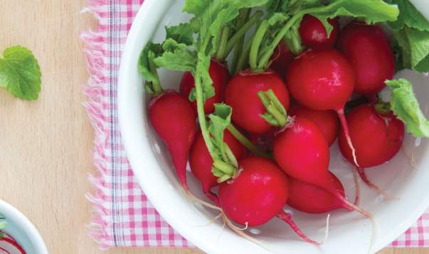 Radish Varieties & Recipes: From French Breakfast to Easter Egg