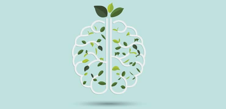 Scott Barry Kaufman on Creativity & Personal Growth
